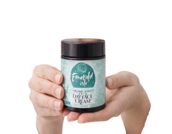 2 removebg preview 1